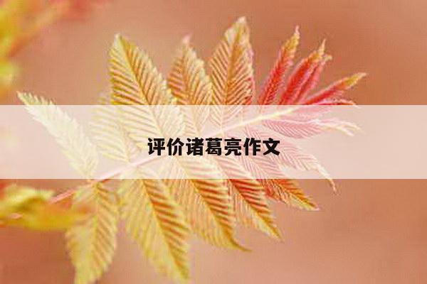 评价诸葛亮作文