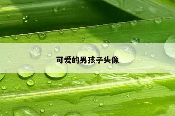 可爱的男孩子头像