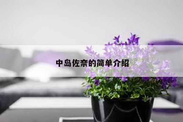 中岛佐奈的简单介绍