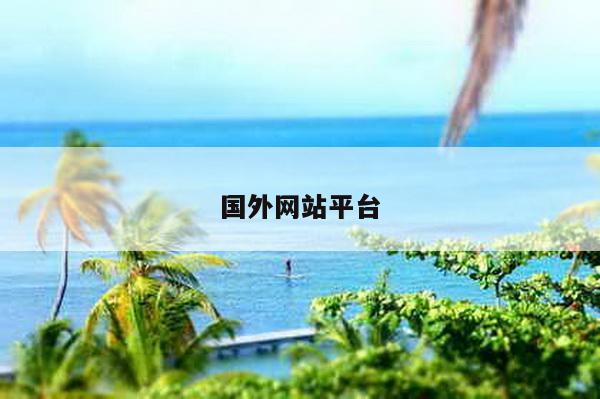 国外网站平台