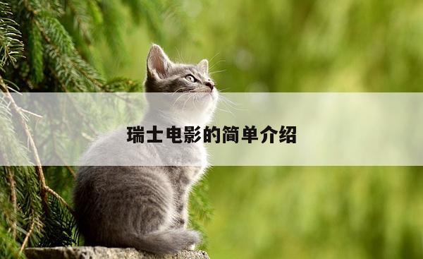 瑞士电影的简单介绍