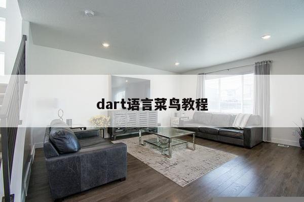 dart语言菜鸟教程