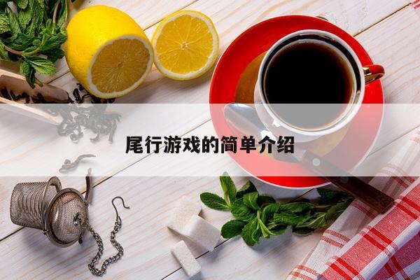 尾行游戏的简单介绍
