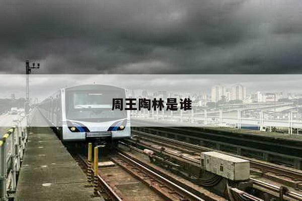周王陶林是谁
