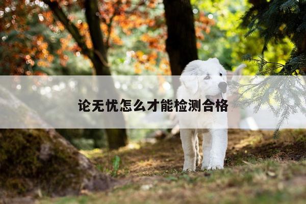论无忧怎么才能检测合格