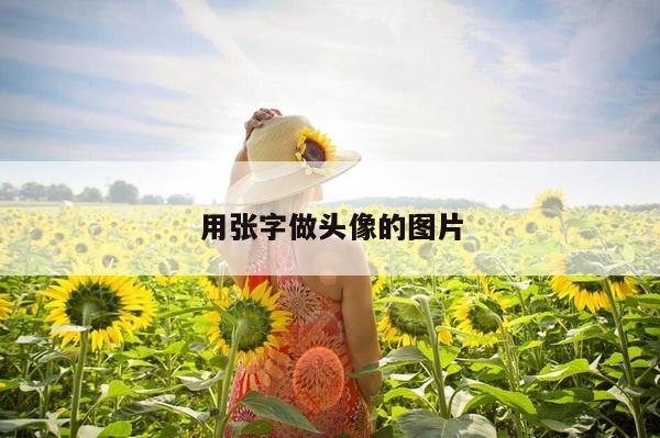 用张字做头像的图片