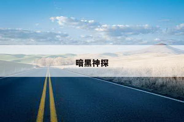 暗黑神探