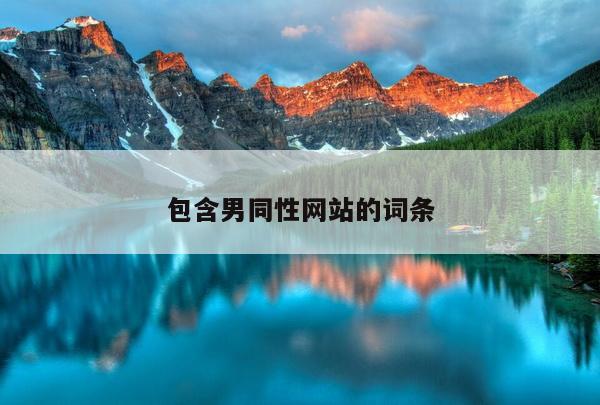 包含男同性网站的词条