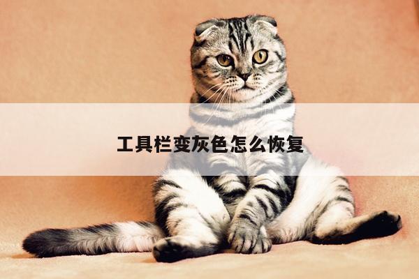 工具栏变灰色怎么恢复