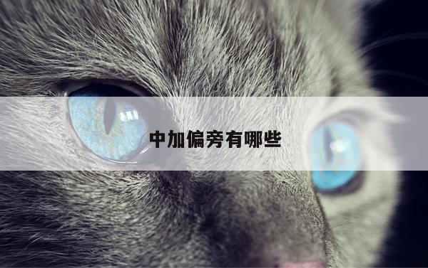 中加偏旁有哪些