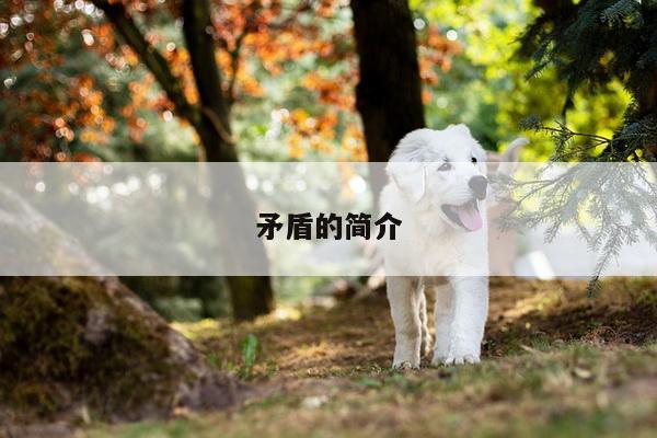 矛盾的简介