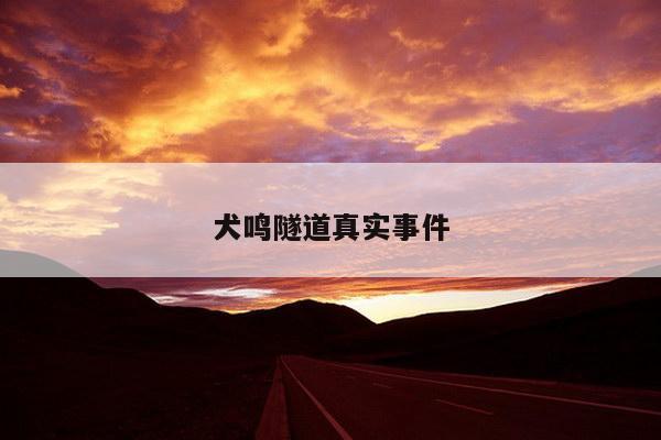 犬鸣隧道真实事件