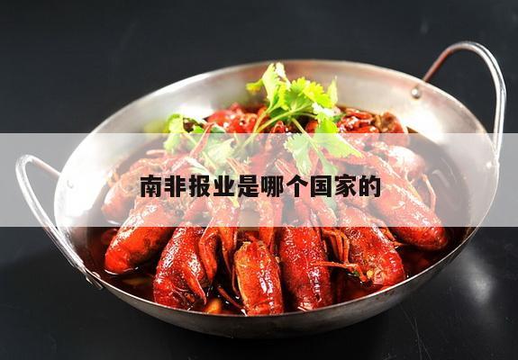 南非报业是哪个国家的