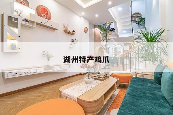 湖州特产鸡爪