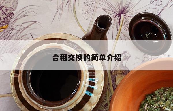 合租交换的简单介绍