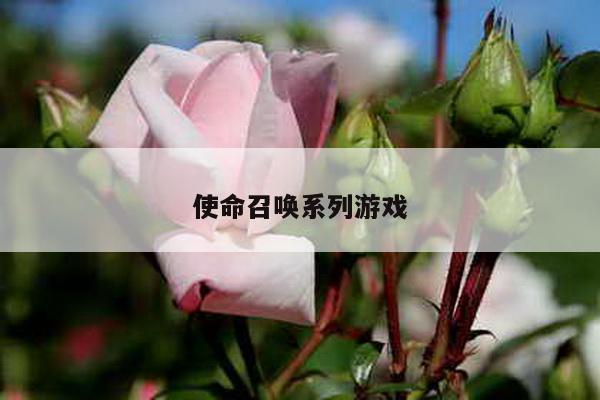 使命召唤系列游戏