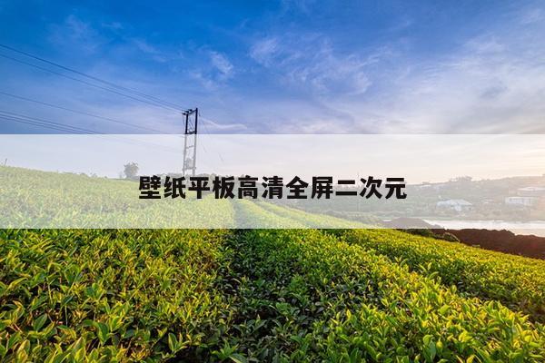 壁纸平板高清全屏二次元