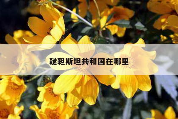 鞑靼斯坦共和国在哪里