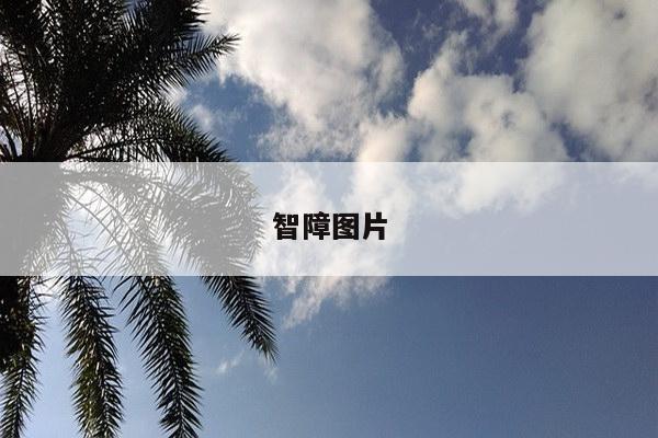 智障图片