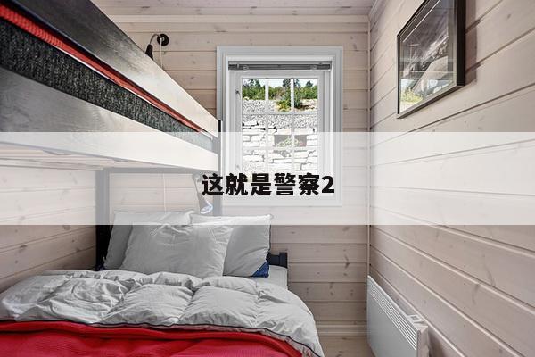 这就是警察2