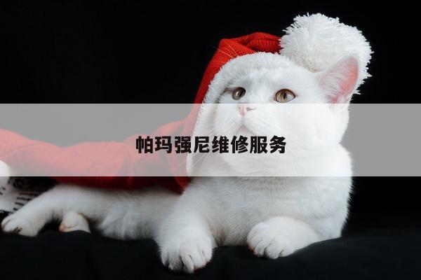 帕玛强尼维修服务