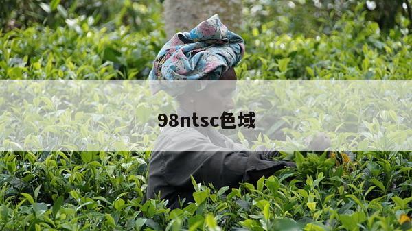 98ntsc色域