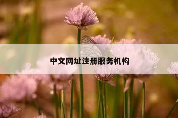 中文网址注册服务机构