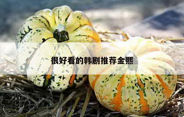 很好看的韩剧推荐金熙