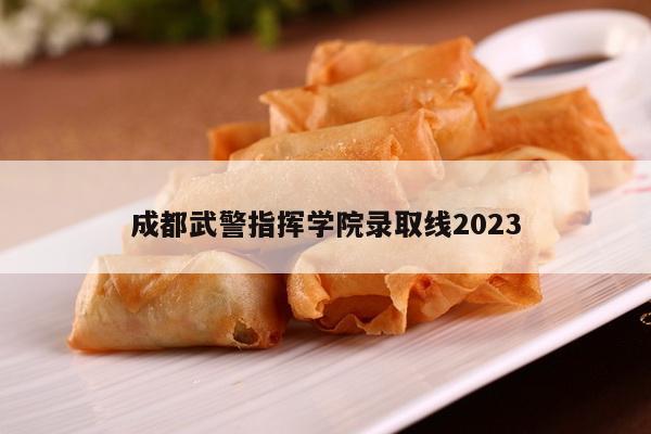成都武警指挥学院录取线2023