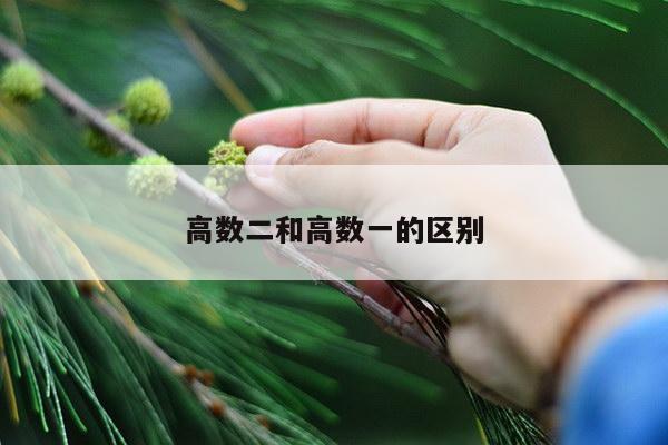 高数二和高数一的区别