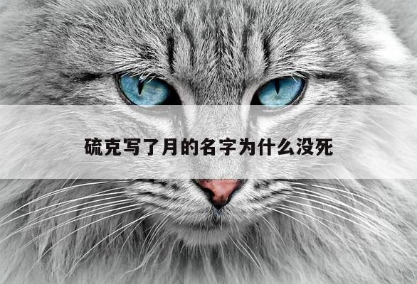 硫克写了月的名字为什么没死