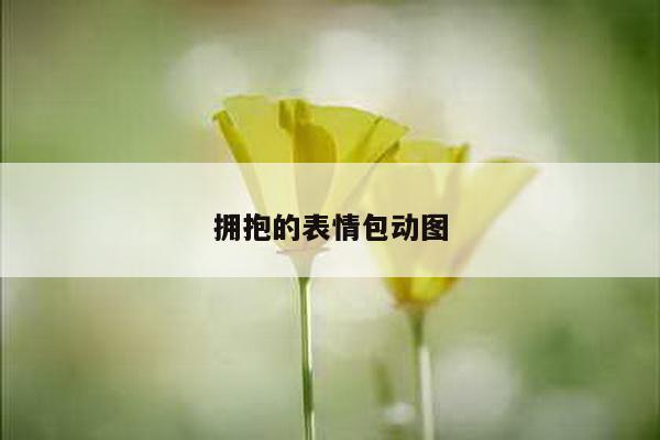 拥抱的表情包动图