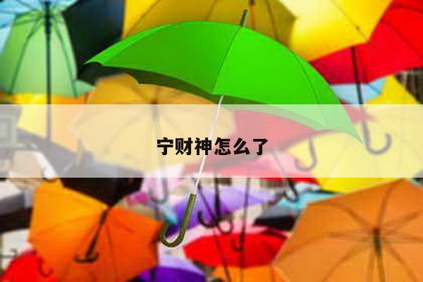 宁财神怎么了