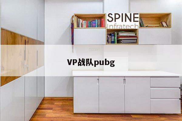 VP战队pubg