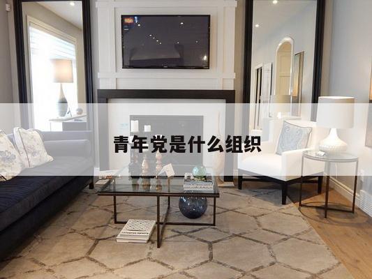 青年党是什么组织