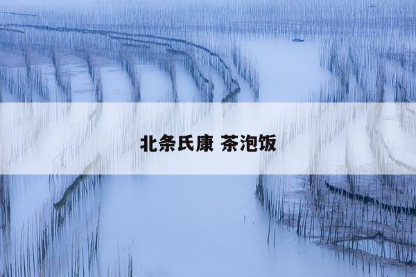 北条氏康 茶泡饭