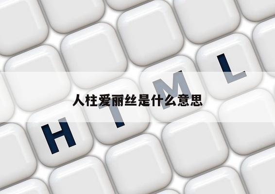 人柱爱丽丝是什么意思