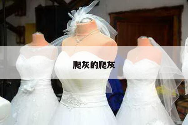 爬灰的爬灰