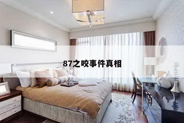 87之咬事件真相