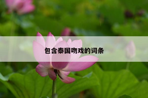 包含泰国吻戏的词条