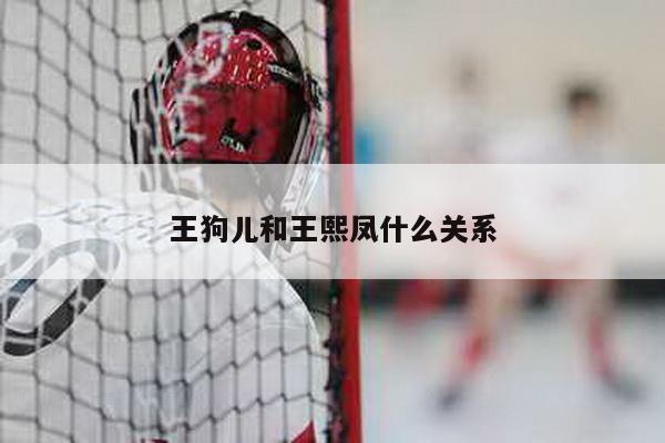 王狗儿和王熙凤什么关系