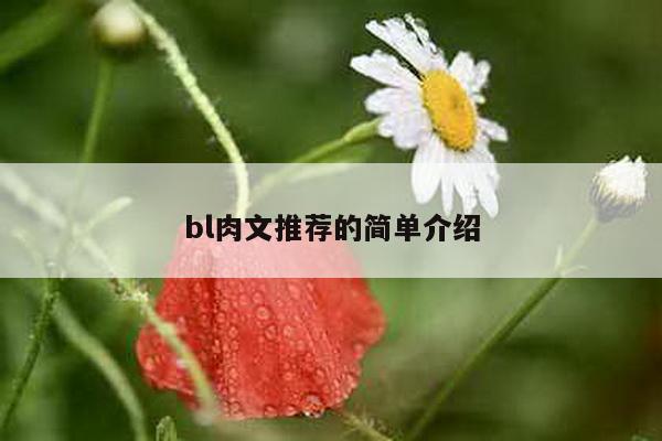 bl肉文推荐的简单介绍