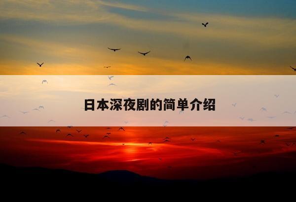 日本深夜剧的简单介绍