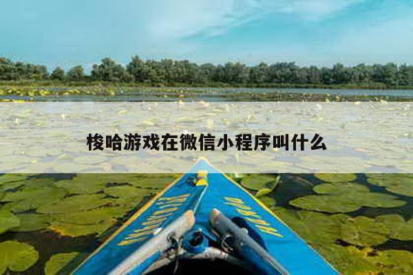 梭哈游戏在微信小程序叫什么