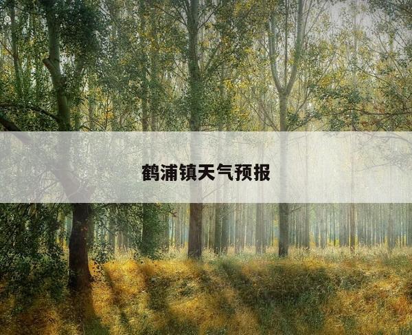 鹤浦镇天气预报