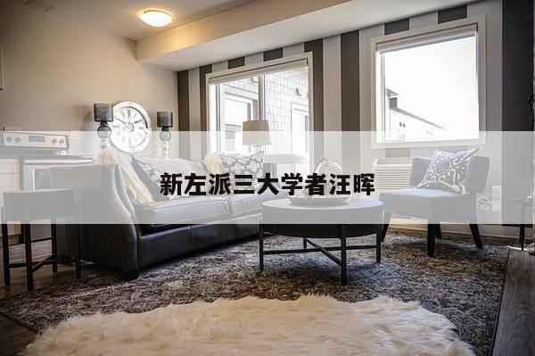 新左派三大学者汪晖