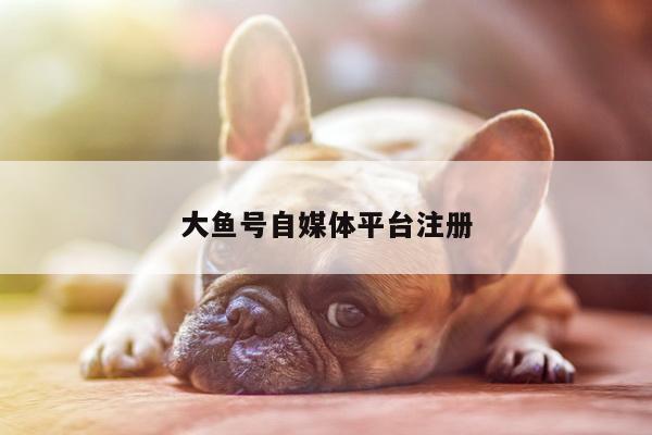 大鱼号自媒体平台注册