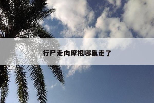 行尸走肉摩根哪集走了