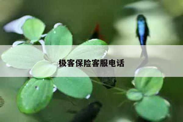 极客保险客服电话