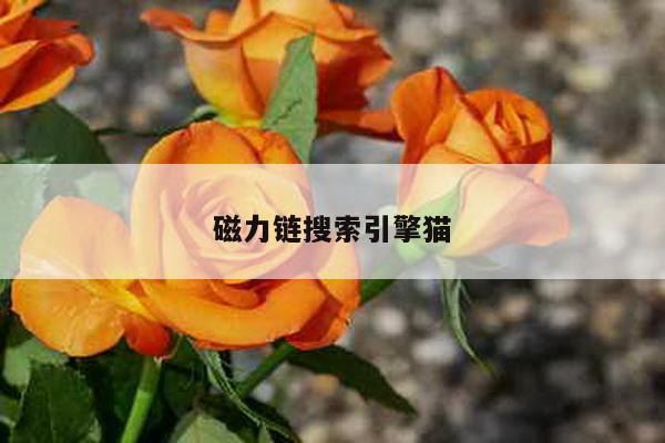 磁力链搜索引擎猫